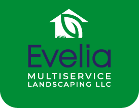 Evelia Multiservice Logo